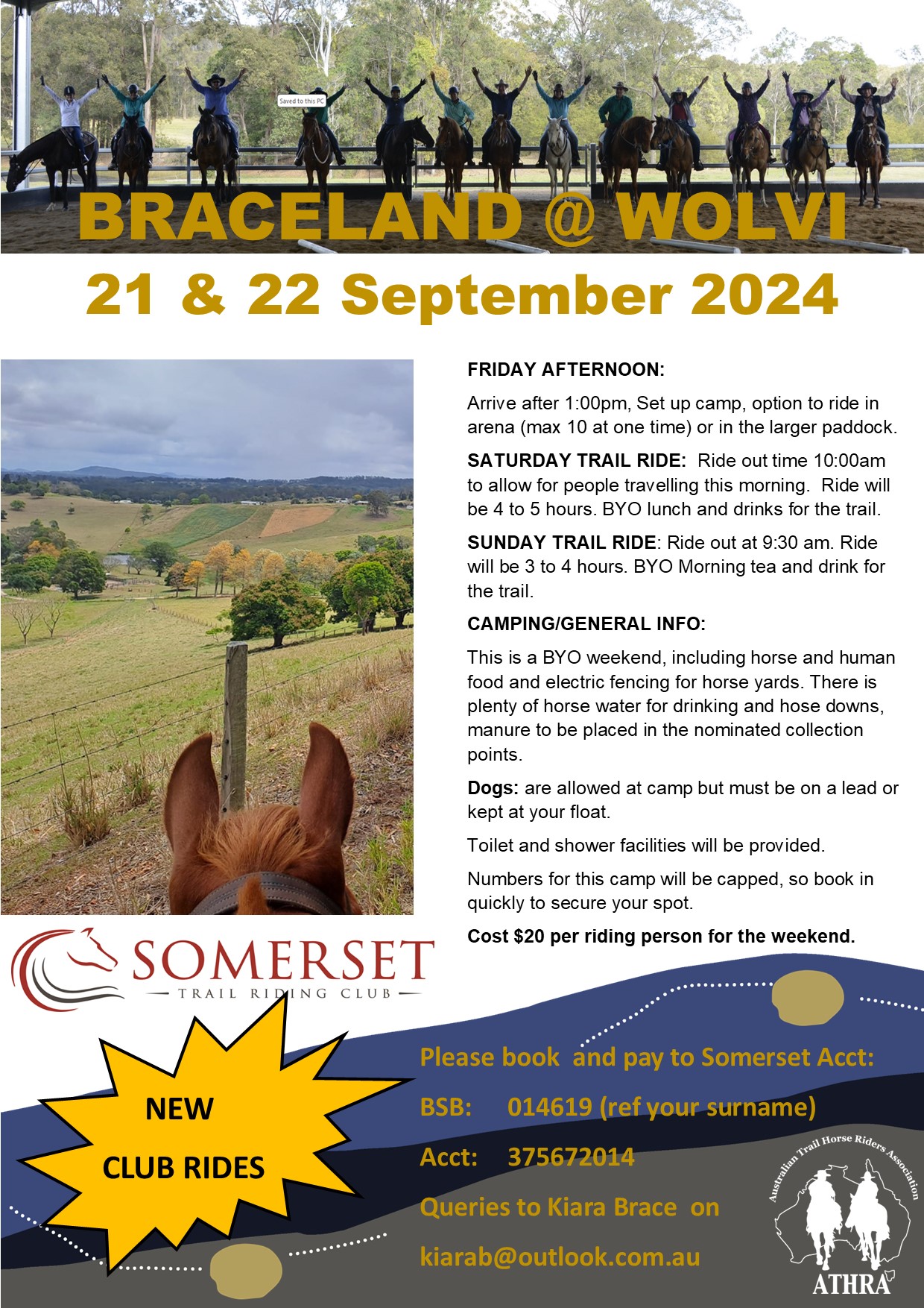 somerset_wolvi